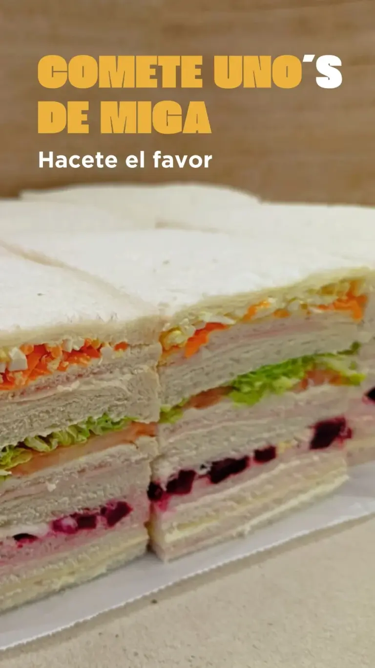 elzorzal008 768x1365