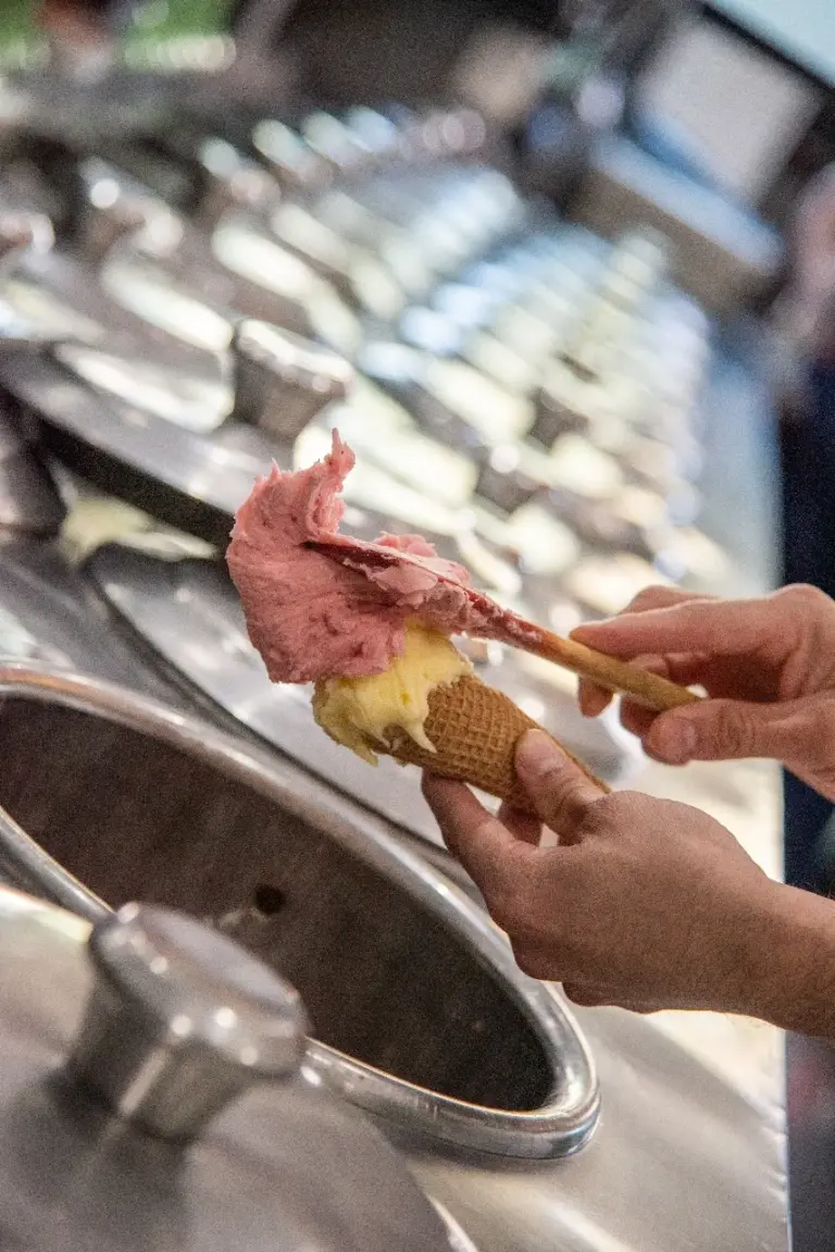 heladeriaroma002 768x1151