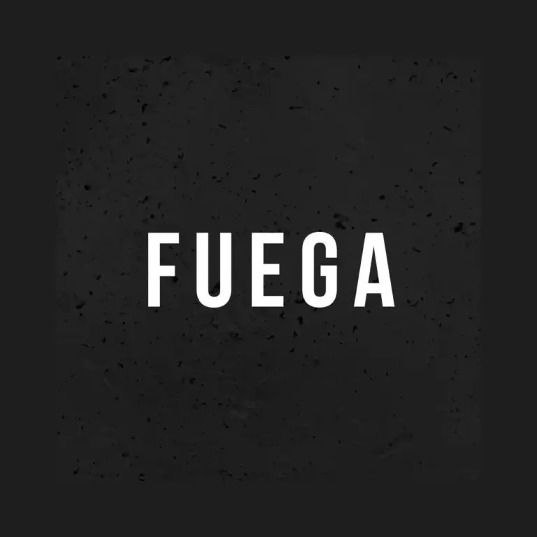 logo fuega 768x768