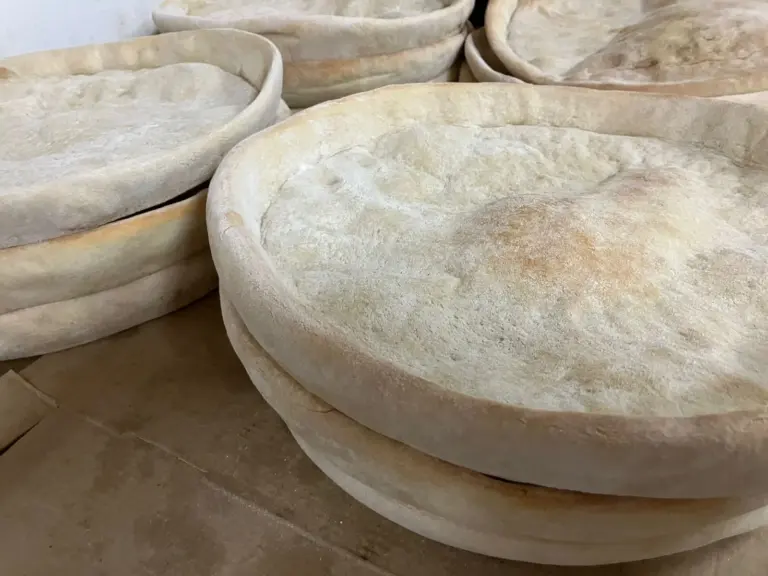 oraganato016 768x576